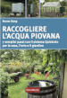 Raccogliere l'acqua piovana. 7 semplici passi con il sistema Quickrain per la casa, l'orto e il giardino